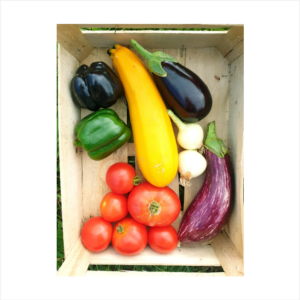 packratatouille https://fermebenaise.fr/wp-content/uploads/2023/08/packratatouille-300x300.png