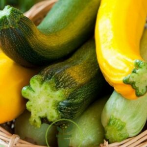 https://fermebenaise.fr/wp-content/uploads/2024/05/courgetes_multiciolore-e1719831456819-300x300.jpg