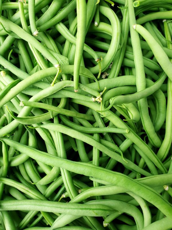 Réservé aux professionnel.les : Haricots verts bio (1kg)