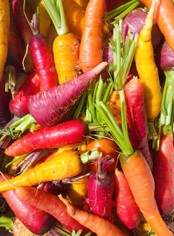 Réservé aux professionnel.les : Carottes multicolores bio vrac (1kg)