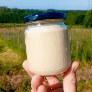 Pot de miel de printemps (250g)