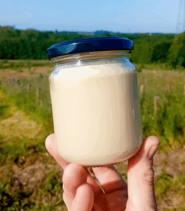 Pot de miel de printemps (250g)