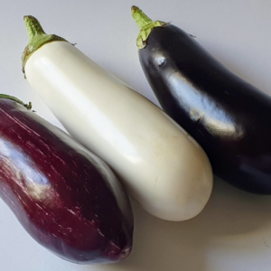https://fermebenaise.fr/wp-content/uploads/2025/06/aubergine_melange-300x300.png