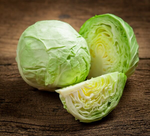 Réservé aux professionnel.les : Chou vert bio (2kg)