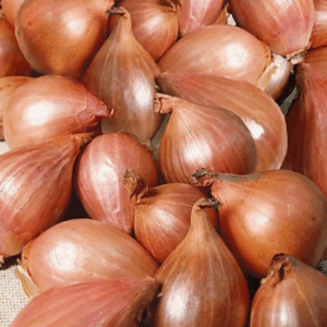 Lot d’échalotes – 2,5kg