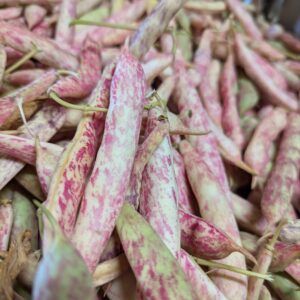 Réservé aux professionnel.les : Haricots cocos zébrés bio (1kg)